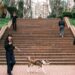 chien tousse obstruction possible