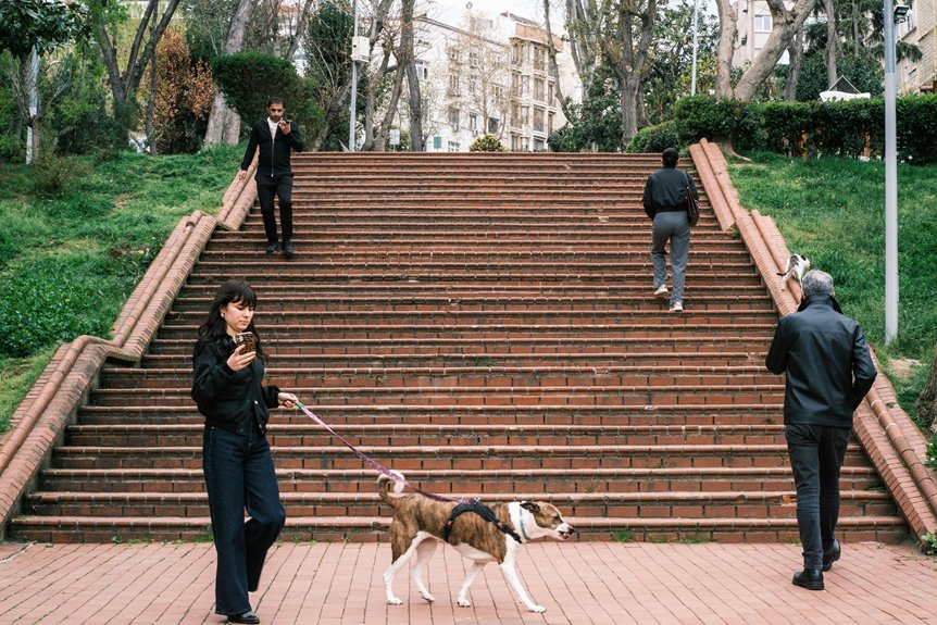 chien tousse obstruction possible